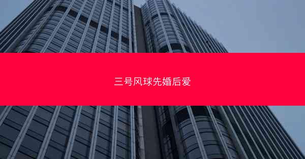 三号风球先婚后爱