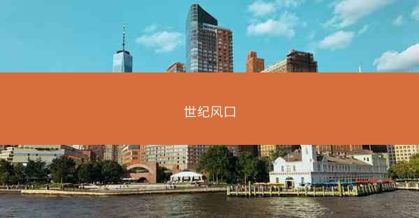 世纪风口