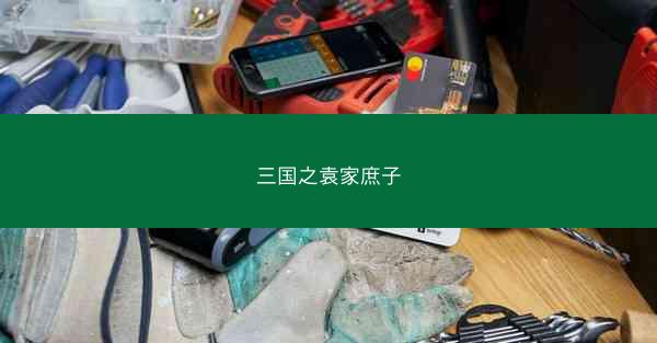 三国之袁家庶子