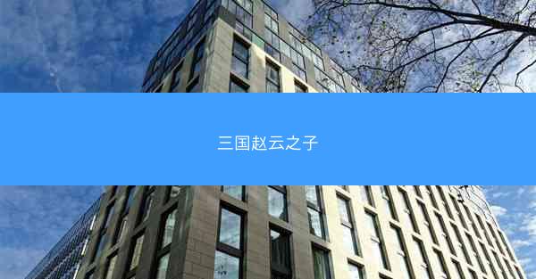 三国赵云之子
