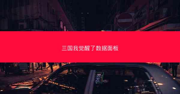 三国我觉醒了数据面板