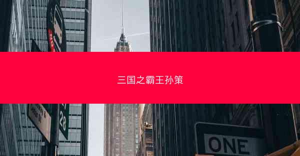 三国之霸王孙策
