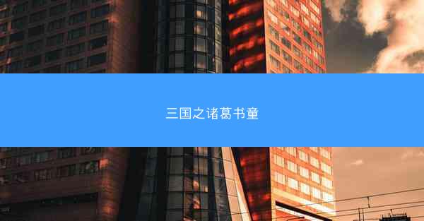 三国之诸葛书童