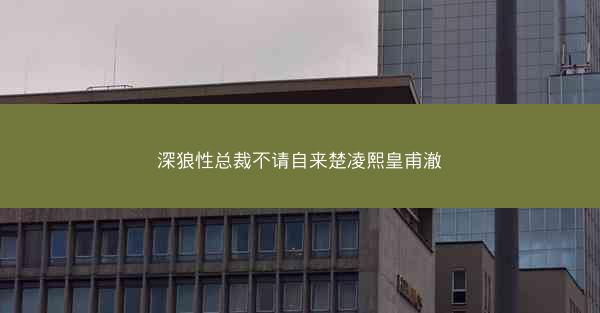 深狼性总裁不请自来楚凌熙皇甫澈