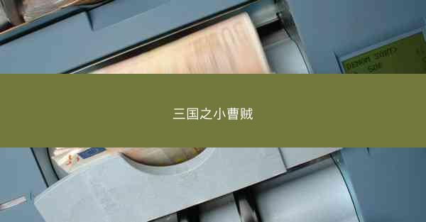三国之小曹贼