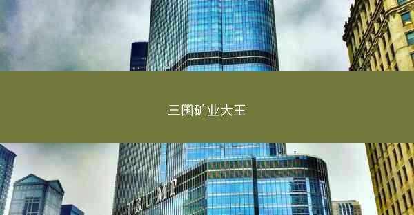 三国矿业大王