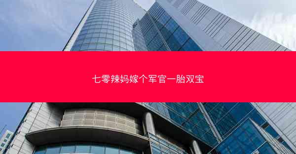 七零辣妈嫁个军官一胎双宝