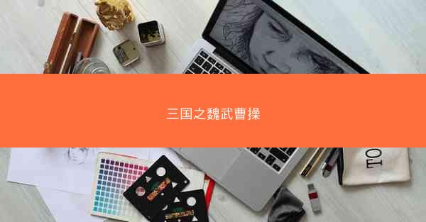 三国之魏武曹操