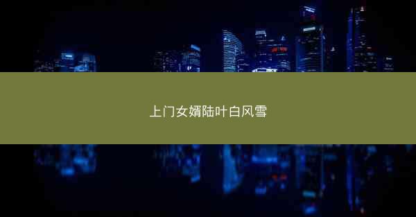上门女婿陆叶白风雪