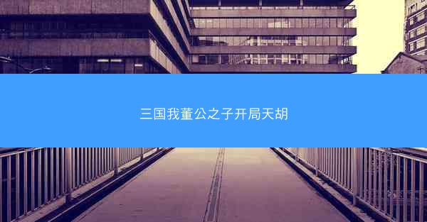三国我董公之子开局天胡