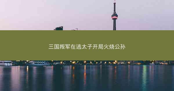 三国叛军在逃太子开局火烧公孙