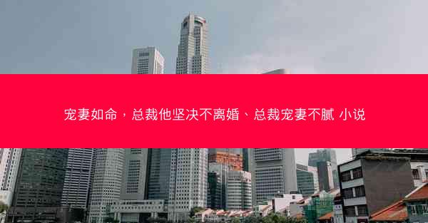 宠妻如命，总裁他坚决不离婚、总裁宠妻不腻 小说
