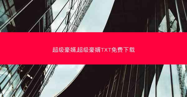 超级豪婿,超级豪婿TXT免费下载