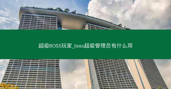 超级BOSS玩家_boss超级管理员有什么用