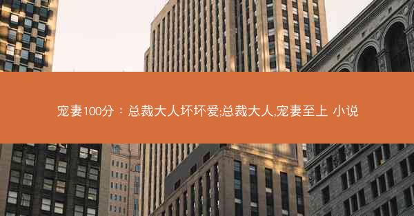宠妻100分：总裁大人坏坏爱;总裁大人,宠妻至上 小说