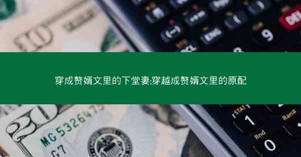 穿成赘婿文里的下堂妻;穿越成赘婿文里的原配