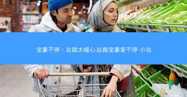 宠妻不停：总裁太暖心;总裁宠妻爱不停 小说