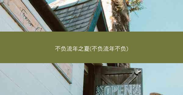 不负流年之夏(不负流年不负)