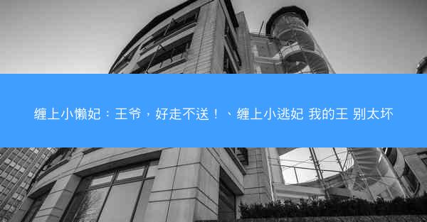 缠上小懒妃：王爷，好走不送！、缠上小逃妃 我的王 别太坏