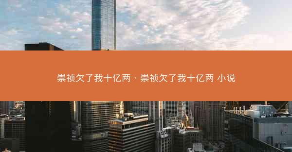 崇祯欠了我十亿两、崇祯欠了我十亿两 小说