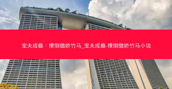 宠夫成瘾：撩倒傲娇竹马_宠夫成瘾-撩倒傲娇竹马小说