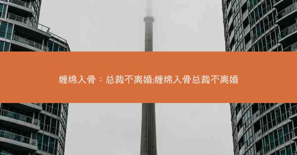 缠绵入骨：总裁不离婚;缠绵入骨总裁不离婚