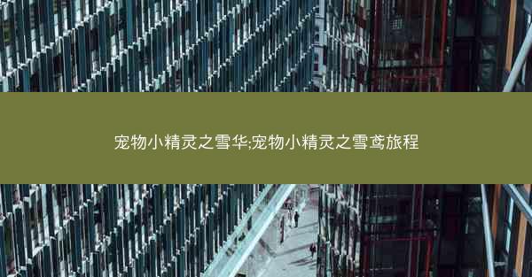 宠物小精灵之雪华;宠物小精灵之雪鸢旅程