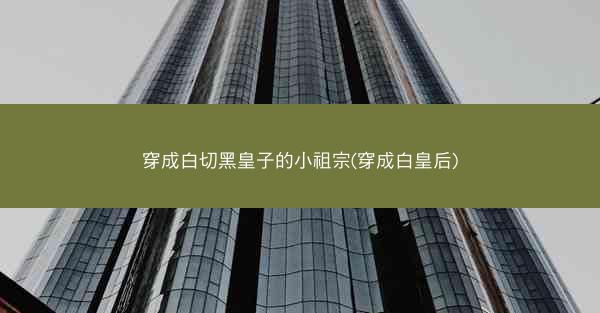 穿成白切黑皇子的小祖宗(穿成白皇后)