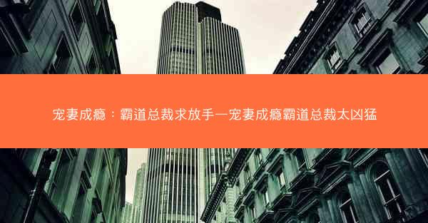 宠妻成瘾：霸道总裁求放手—宠妻成瘾霸道总裁太凶猛