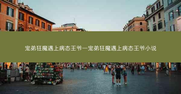 宠弟狂魔遇上病态王爷—宠弟狂魔遇上病态王爷小说