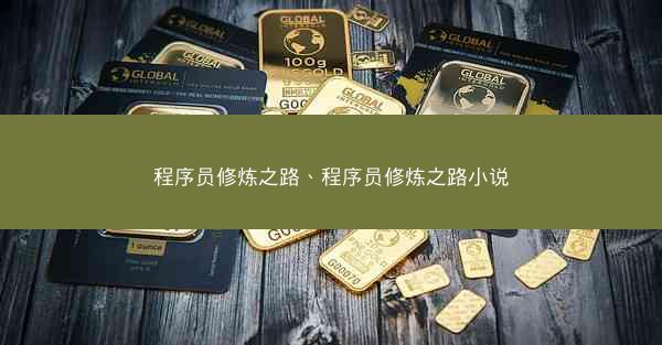 程序员修炼之路、程序员修炼之路小说