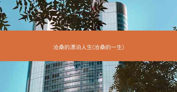 沧桑的漂泊人生(沧桑的一生)