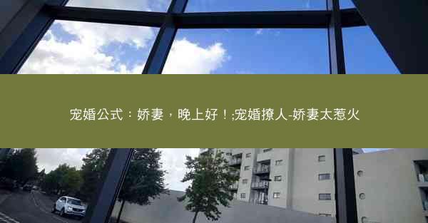 宠婚公式：娇妻，晚上好！;宠婚撩人-娇妻太惹火