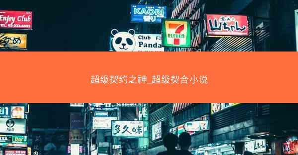超级契约之神_超级契合小说