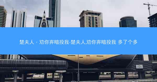 楚夫人，劝你弃暗投我-楚夫人,劝你弃暗投我 多了个多
