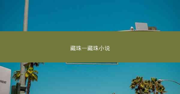 藏珠—藏珠小说