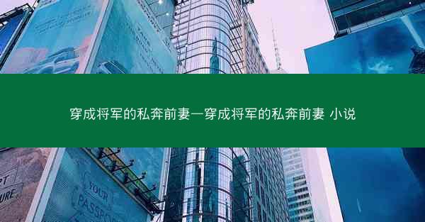 穿成将军的私奔前妻—穿成将军的私奔前妻 小说
