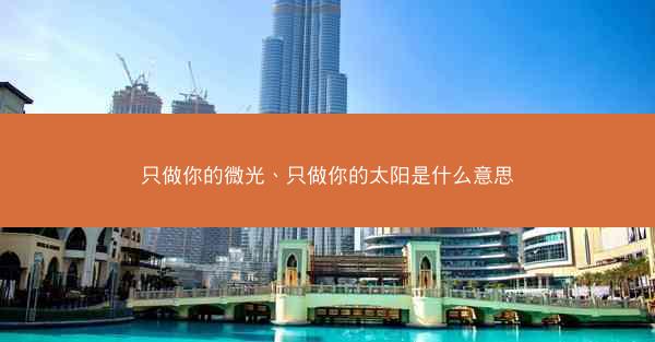 只做你的微光、只做你的太阳是什么意思