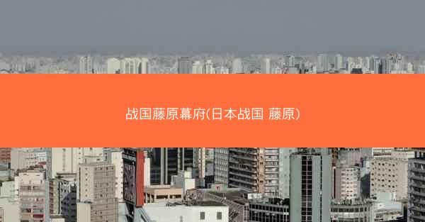战国藤原幕府(日本战国 藤原)
