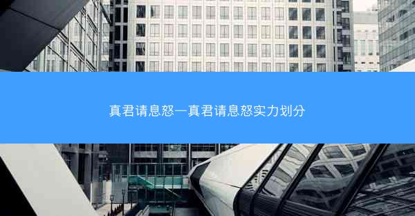 真君请息怒—真君请息怒实力划分