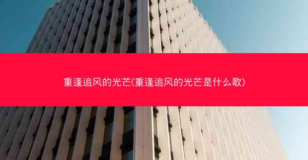 重逢追风的光芒(重逢追风的光芒是什么歌)