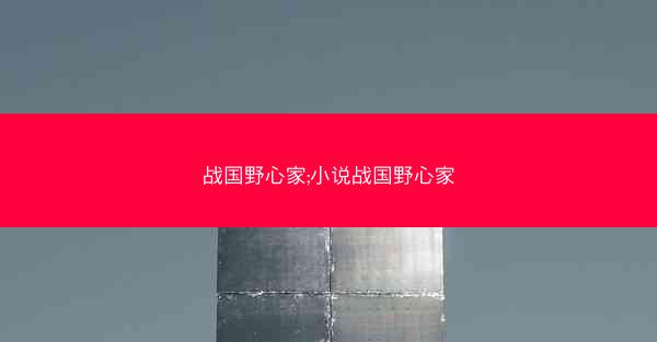 战国野心家;小说战国野心家