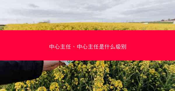 中心主任、中心主任是什么级别