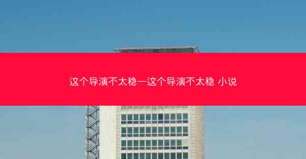 这个导演不太稳—这个导演不太稳 小说