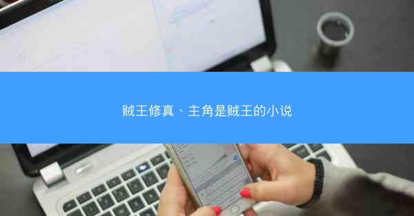 贼王修真、主角是贼王的小说