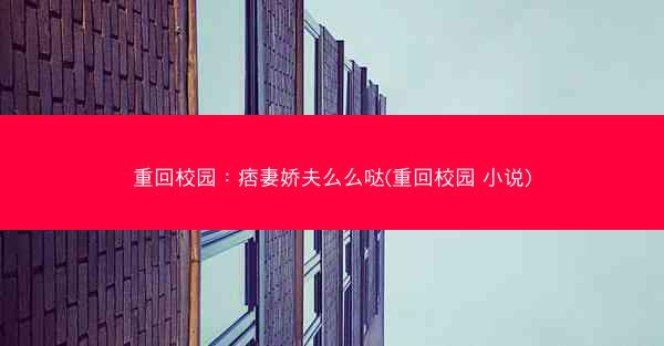 重回校园：痞妻娇夫么么哒(重回校园 小说)