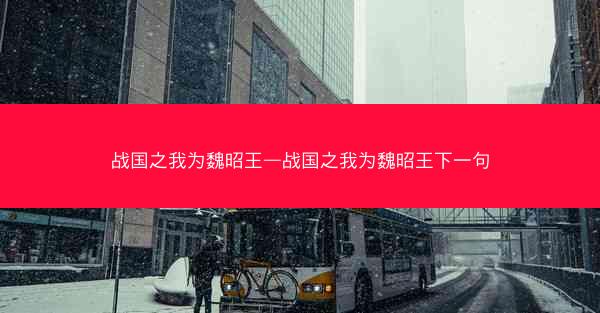 战国之我为魏昭王—战国之我为魏昭王下一句