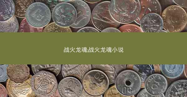 战火龙魂;战火龙魂小说
