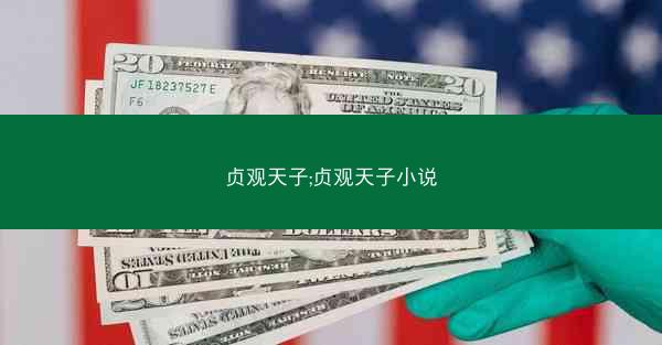 贞观天子;贞观天子小说