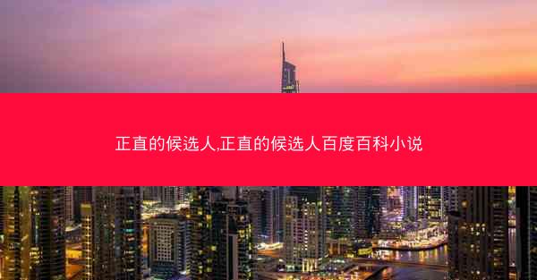 正直的候选人,正直的候选人百度百科小说
